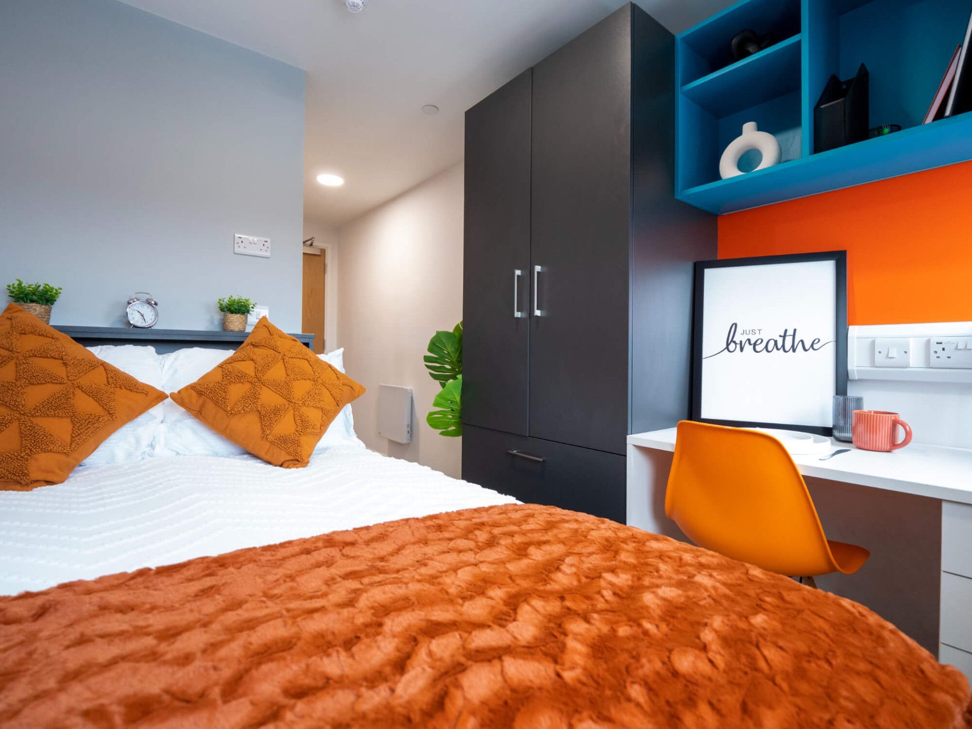 5 Bed Ensuite - room